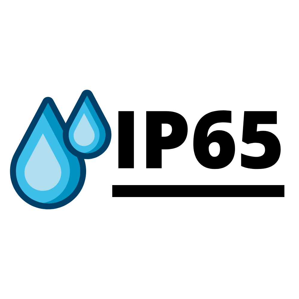 IP65